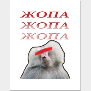 MONKEY Posters and Art